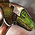 Krogan