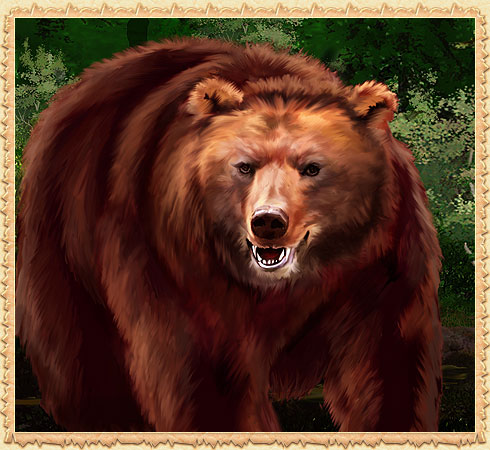 Phadd Bear