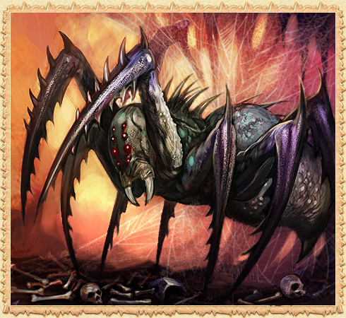 Young Ruler Spider